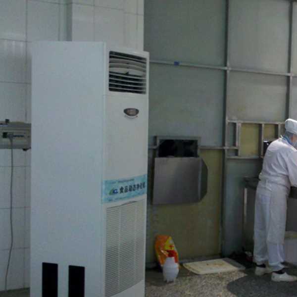 黄浦食品正负离子空气杀菌器